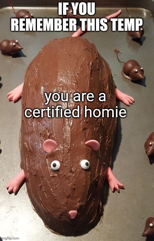 chocolate rat | IF YOU REMEMBER THIS TEMP; you are a certified homie | image tagged in chocolate rat | made w/ Imgflip meme maker