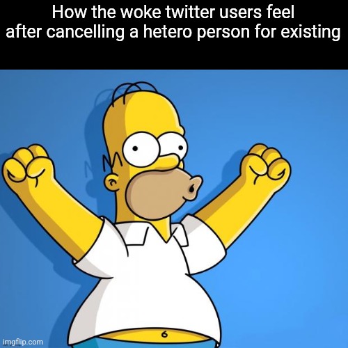 Woohoo Homer Simpson | How the woke twitter users feel after cancelling a hetero person for existing | image tagged in woohoo homer simpson | made w/ Imgflip meme maker