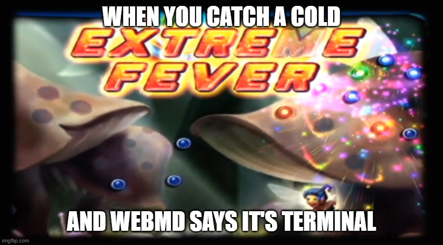 Extreme Fever | WHEN YOU CATCH A COLD; AND WEBMD SAYS IT'S TERMINAL | image tagged in extreme fever | made w/ Imgflip meme maker