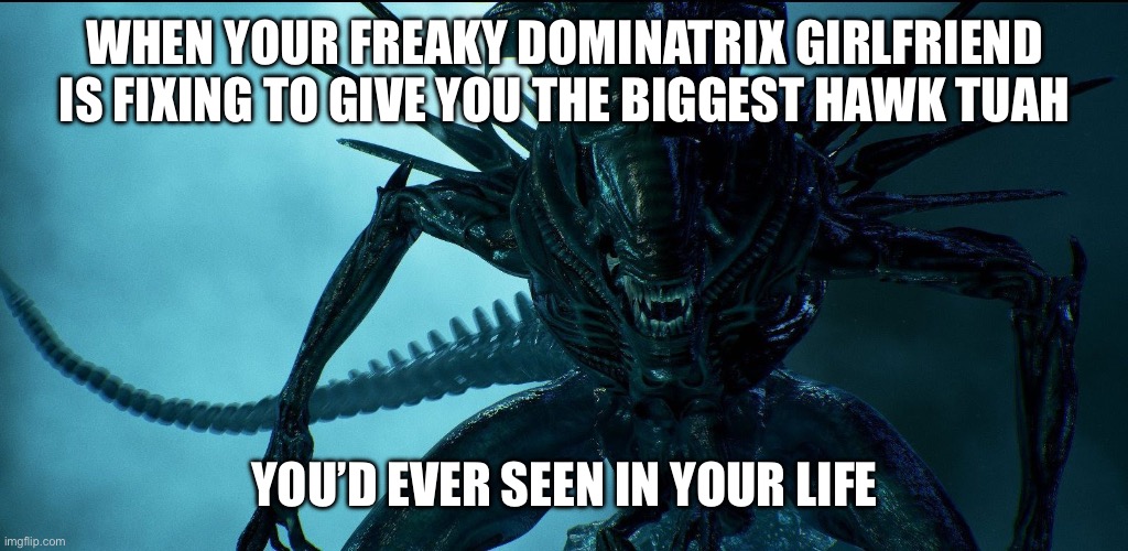 Alien Queen | WHEN YOUR FREAKY DOMINATRIX GIRLFRIEND IS FIXING TO GIVE YOU THE BIGGEST HAWK TUAH; YOU’D EVER SEEN IN YOUR LIFE | image tagged in alien queen,spit | made w/ Imgflip meme maker