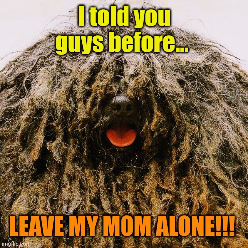 Kanine Jean Pierre | I told you guys before... LEAVE MY MOM ALONE!!! | image tagged in kanine jean pierre | made w/ Imgflip meme maker
