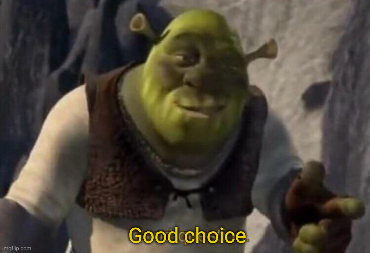 Shrek good question | Good choice | image tagged in shrek good question | made w/ Imgflip meme maker