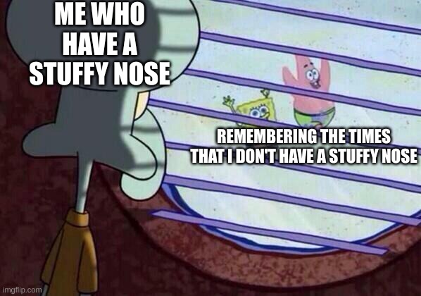 lol | ME WHO HAVE A STUFFY NOSE; REMEMBERING THE TIMES THAT I DON'T HAVE A STUFFY NOSE | image tagged in squidward window | made w/ Imgflip meme maker