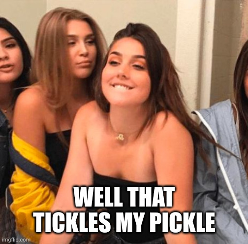 Girl bite lips | WELL THAT TICKLES MY PICKLE | image tagged in girl bite lips | made w/ Imgflip meme maker