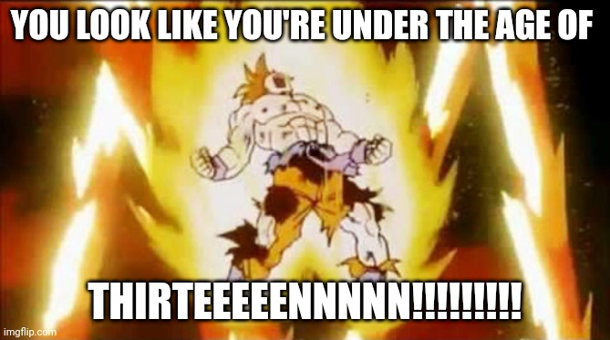 Goku scream | YOU LOOK LIKE YOU'RE UNDER THE AGE OF THIRTEEEEENNNNN!!!!!!!!! | image tagged in goku scream | made w/ Imgflip meme maker