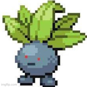 oddish straight face | image tagged in oddish straight face | made w/ Imgflip meme maker