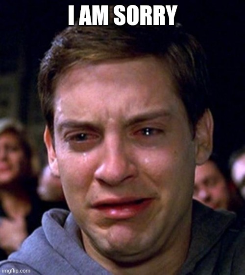 crying peter parker | I AM SORRY | image tagged in crying peter parker | made w/ Imgflip meme maker