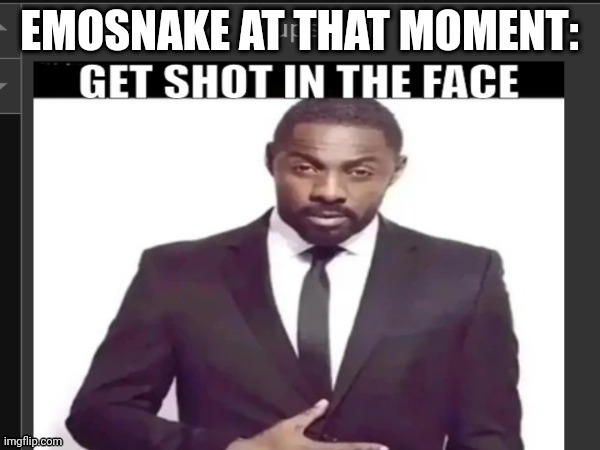 get shot in the face | EMOSNAKE AT THAT MOMENT: | image tagged in get shot in the face | made w/ Imgflip meme maker