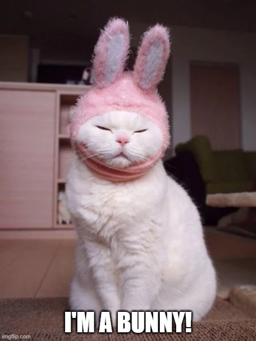 Not Quite But Funny | I'M A BUNNY! | image tagged in bunnies | made w/ Imgflip meme maker