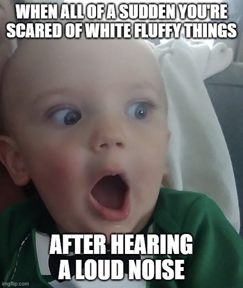 Baby surprised | WHEN ALL OF A SUDDEN YOU'RE SCARED OF WHITE FLUFFY THINGS; AFTER HEARING A LOUD NOISE | image tagged in baby surprised | made w/ Imgflip meme maker