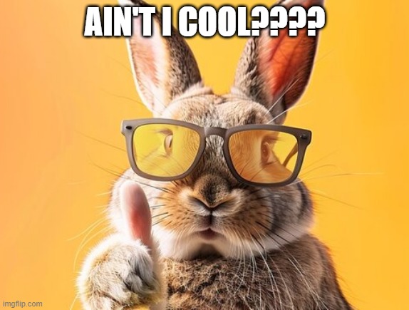 Cool Bunny | AIN'T I COOL???? | image tagged in bunnies | made w/ Imgflip meme maker