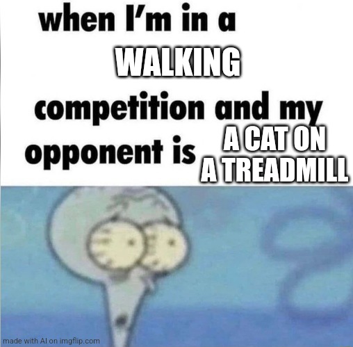 whe i'm in a competition and my opponent is | WALKING; A CAT ON A TREADMILL | image tagged in whe i'm in a competition and my opponent is | made w/ Imgflip meme maker