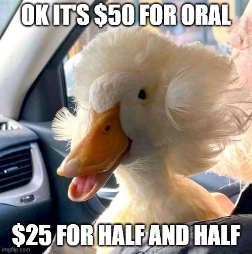 Ducktitute | OK IT'S $50 FOR ORAL; $25 FOR HALF AND HALF | image tagged in ducks | made w/ Imgflip meme maker