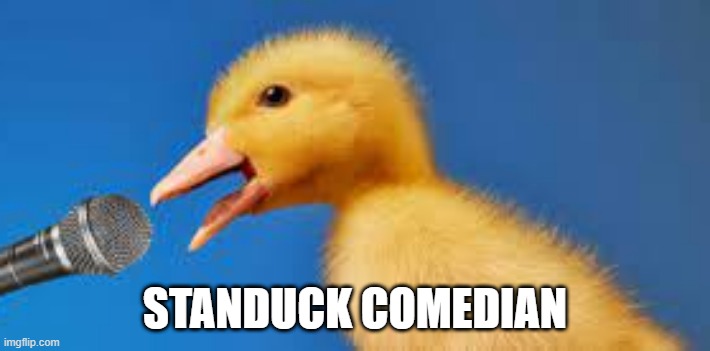 Laugh a Duck | STANDUCK COMEDIAN | image tagged in ducks | made w/ Imgflip meme maker