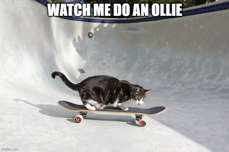 Skate Cat | WATCH ME DO AN OLLIE | image tagged in cats | made w/ Imgflip meme maker