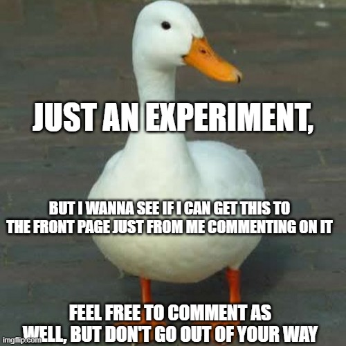 !EXPERIMENT! Just seeing if I can. Not a beggar. I hate those guys | JUST AN EXPERIMENT, BUT I WANNA SEE IF I CAN GET THIS TO THE FRONT PAGE JUST FROM ME COMMENTING ON IT; FEEL FREE TO COMMENT AS WELL, BUT DON'T GO OUT OF YOUR WAY | image tagged in experiment,not trying to beg,ducks | made w/ Imgflip meme maker