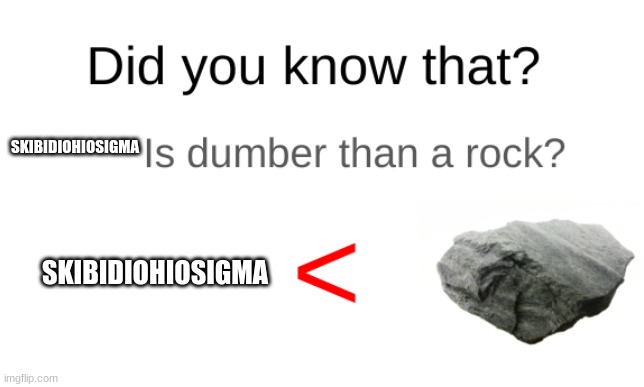 Did you know that (blank) is dumber than a rock? | SKIBIDIOHIOSIGMA; SKIBIDIOHIOSIGMA | image tagged in did you know that blank is dumber than a rock | made w/ Imgflip meme maker