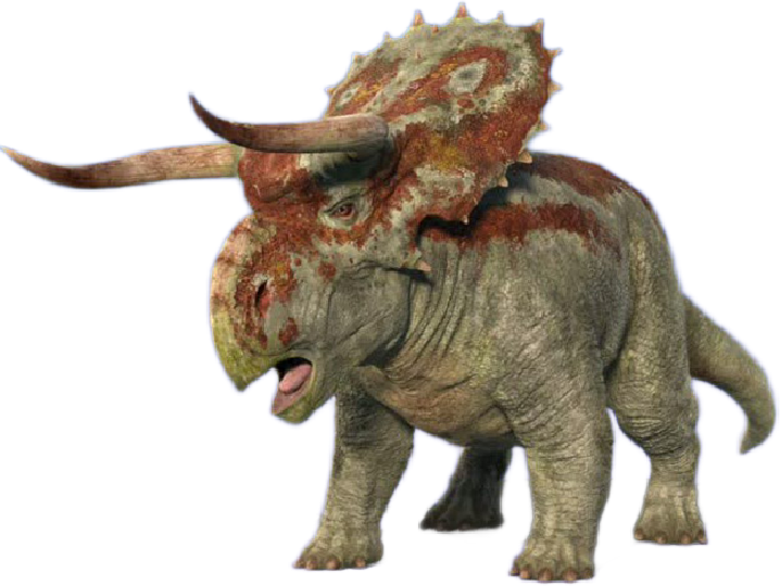 Female Nasutoceratops 3 Blank Meme Template