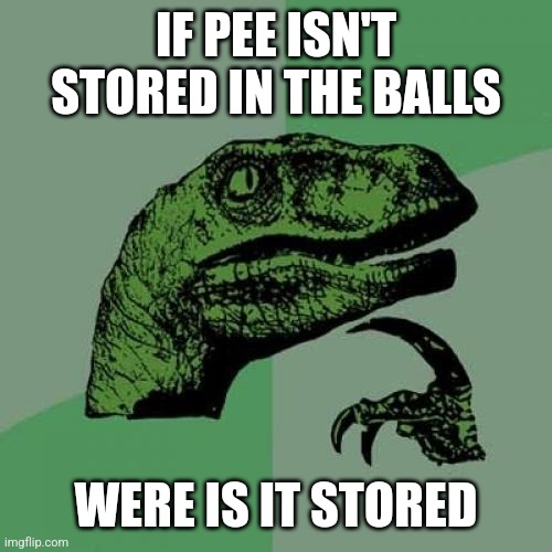 Balls | IF PEE ISN'T STORED IN THE BALLS; WERE IS IT STORED | image tagged in memes,philosoraptor | made w/ Imgflip meme maker