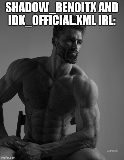 Giga Chad | SHADOW_BENOITX AND IDK_OFFICIAL.XML IRL: | image tagged in giga chad | made w/ Imgflip meme maker