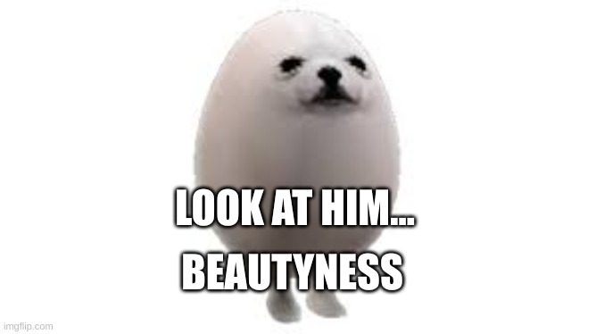 Beatuy | LOOK AT HIM... BEAUTYNESS | image tagged in egg dog | made w/ Imgflip meme maker