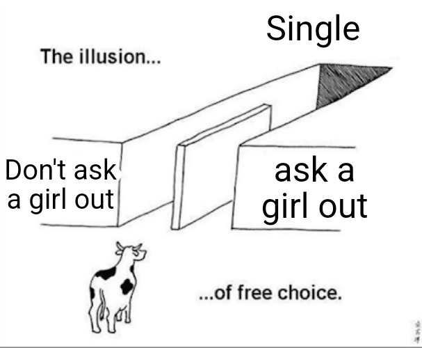 Illusion of free choice | Single; Don't ask a girl out; ask a girl out | image tagged in illusion of free choice,slavic | made w/ Imgflip meme maker