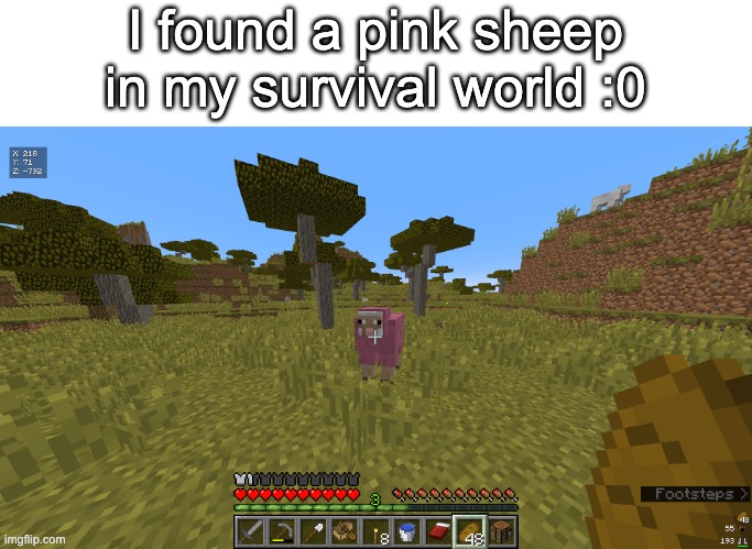 amazing | I found a pink sheep in my survival world :0 | image tagged in dive,minecraft | made w/ Imgflip meme maker
