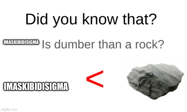 Did you know that (blank) is dumber than a rock? | IMASKIBIDISIGMA IMASKIBIDISIGMA | image tagged in did you know that blank is dumber than a rock | made w/ Imgflip meme maker