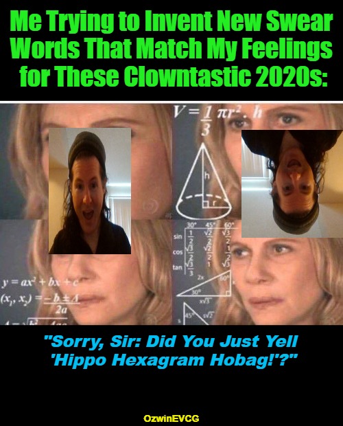 [Sorry, Sir: Did You...] | Me Trying to Invent New Swear 

Words That Match My Feelings 

for These Clowntastic 2020s:; "Sorry, Sir: Did You Just Yell 

'Hippo Hexagram Hobag!'?"; OzwinEVCG | image tagged in sociopolitical humor,the struggle is real,clowntastic,2020s,swearing,get a haircut ya hippie | made w/ Imgflip meme maker