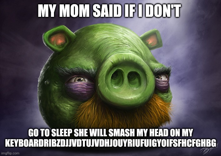 Realistic angry birds | MY MOM SAID IF I DON'T; GO TO SLEEP SHE WILL SMASH MY HEAD ON MY KEYBOARDRIBZDJJVDTUJVDHJOUYRIUFUIGYOIFSFHCFGHBG | image tagged in realistic angry birds | made w/ Imgflip meme maker