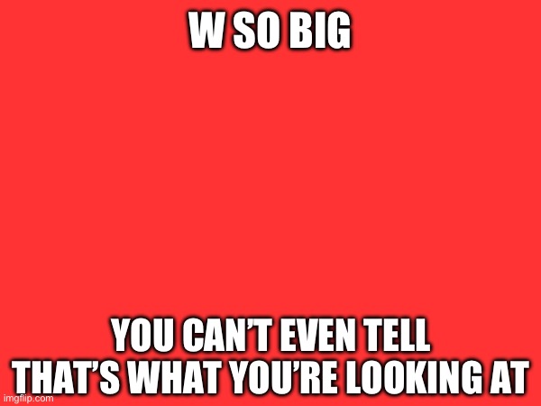 W SO BIG YOU CAN’T EVEN TELL THAT’S WHAT YOU’RE LOOKING AT | made w/ Imgflip meme maker