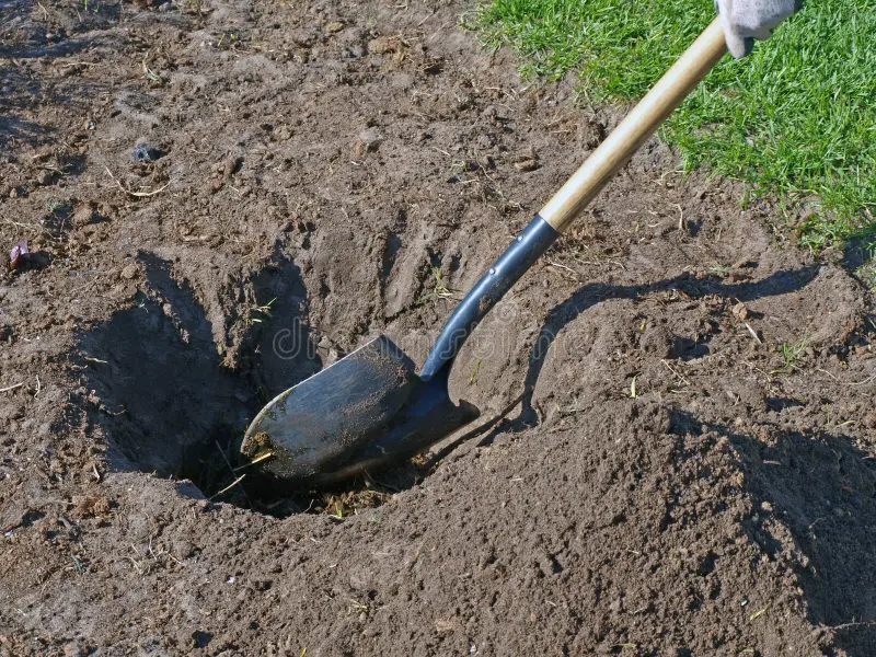 Dig Pic Blank Meme Template