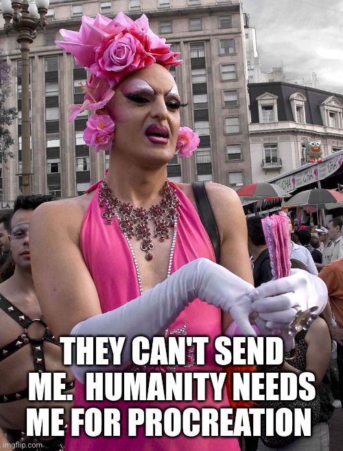 tranny | THEY CAN'T SEND ME.  HUMANITY NEEDS ME FOR PROCREATION | image tagged in tranny | made w/ Imgflip meme maker