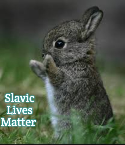 But Why Rabbit | Slavic Lives Matter | image tagged in but why rabbit,slavic | made w/ Imgflip meme maker