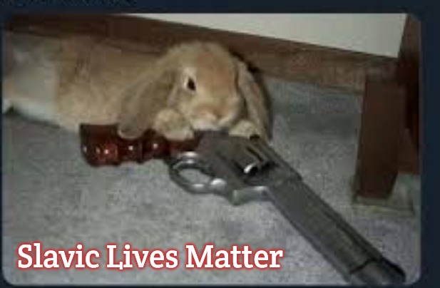 bunny gun | Slavic Lives Matter | image tagged in bunny gun,slavic | made w/ Imgflip meme maker