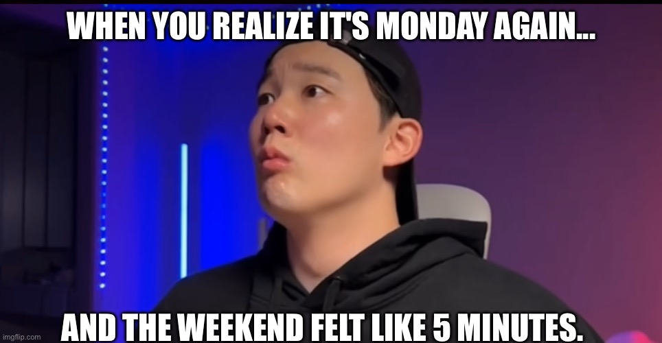 Sad day | WHEN YOU REALIZE IT'S MONDAY AGAIN... AND THE WEEKEND FELT LIKE 5 MINUTES. | image tagged in memes | made w/ Imgflip meme maker