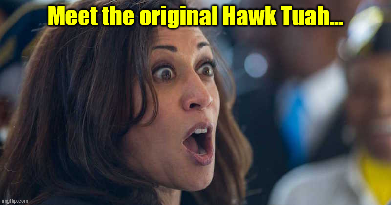 Decades of experience... | Meet the original Hawk Tuah... | image tagged in kamala harriss,hawk tuah | made w/ Imgflip meme maker