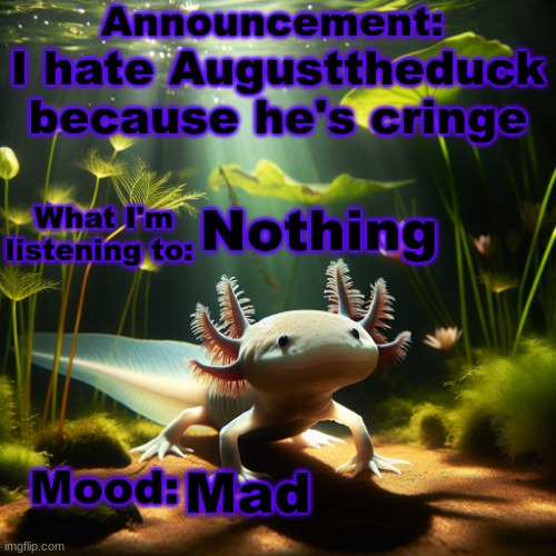 Banbodi. Announcement | I hate Augusttheduck because he's cringe; Nothing; Mad | image tagged in moonranger announcement | made w/ Imgflip meme maker