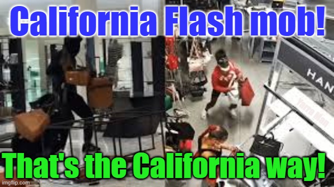 Flash Mob, that's the California way! | California Flash mob! Yarra Man; That's the California way! | image tagged in gavin newsom,democrats,unrestricted legal crime,afghanistan,zimbabwe,self gratification by proxy | made w/ Imgflip meme maker