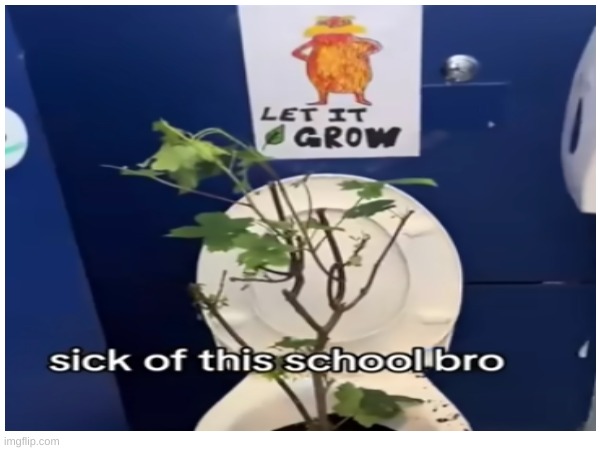 Let it grow | image tagged in the lorax,school,toilet,plant | made w/ Imgflip meme maker