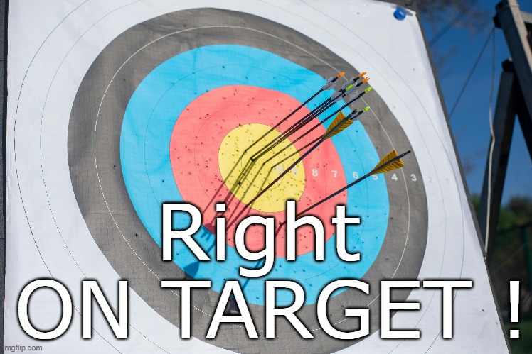 Right 
ON TARGET ! | made w/ Imgflip meme maker