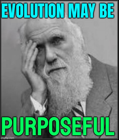 Evolution May Be Purposeful And It Is Freaking Scientists Out | EVOLUTION MAY BE; PURPOSEFUL | image tagged in darwin facepalm,anti-religion,evolution,science,charles darwin,human evolution | made w/ Imgflip meme maker