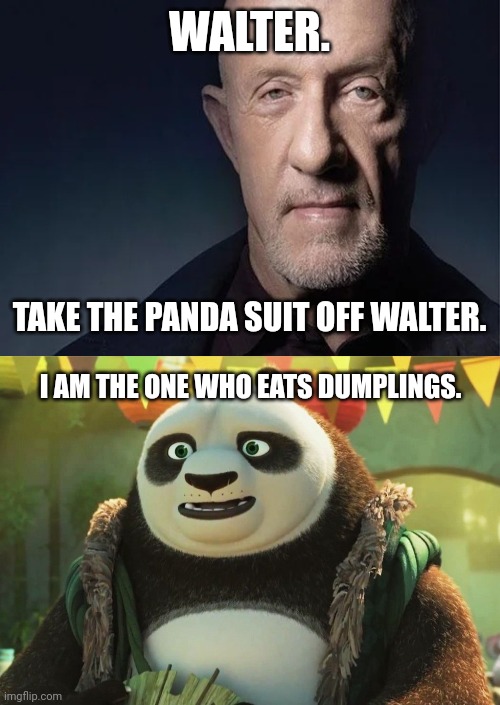 Bryan Cranston moment. | WALTER. TAKE THE PANDA SUIT OFF WALTER. I AM THE ONE WHO EATS DUMPLINGS. | image tagged in mike ehrmantraut,kung fu panda,breaking bad,actors | made w/ Imgflip meme maker