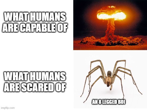 WHAT HUMANS ARE CAPABLE OF; WHAT HUMANS ARE SCARED OF; AN 8 LEGGED BOI | image tagged in humans,funny | made w/ Imgflip meme maker