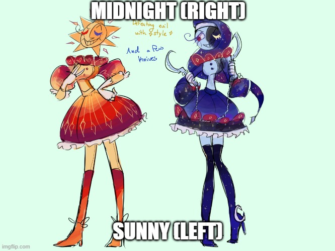 These two were my fist OC's (Pls don't repost this or tracing it this is my art) | MIDNIGHT (RIGHT); SUNNY (LEFT) | image tagged in oc | made w/ Imgflip meme maker