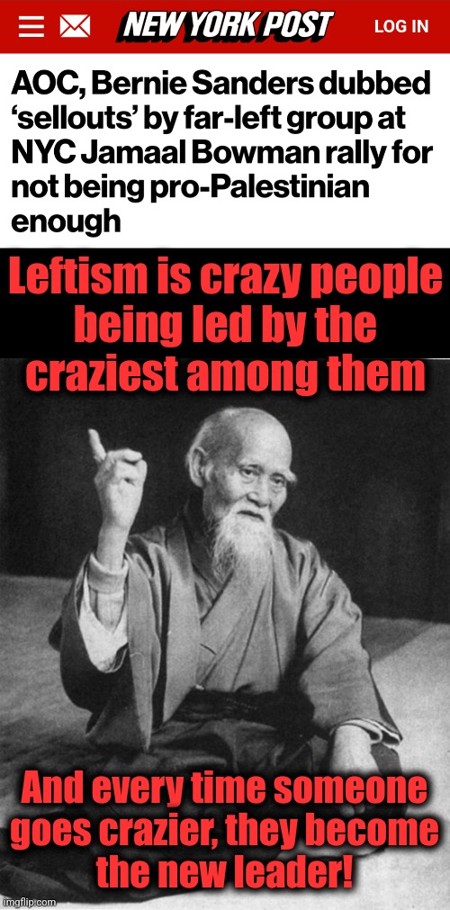Leftism is crazy people
being led by the
craziest among them; And every time someone
goes crazier, they become
the new leader! | image tagged in wise master,memes,democrats,insanity,joe biden,bernie sanders | made w/ Imgflip meme maker