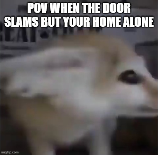 OH SH!T | POV WHEN THE DOOR SLAMS BUT YOUR HOME ALONE | image tagged in oh sh t | made w/ Imgflip meme maker