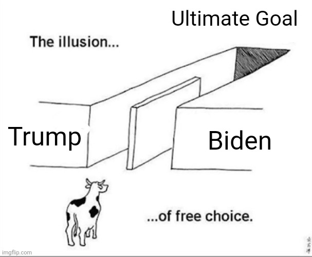 No one vote this year!! | Ultimate Goal; Trump; Biden | image tagged in illusion of free choice,politics,president,voting | made w/ Imgflip meme maker