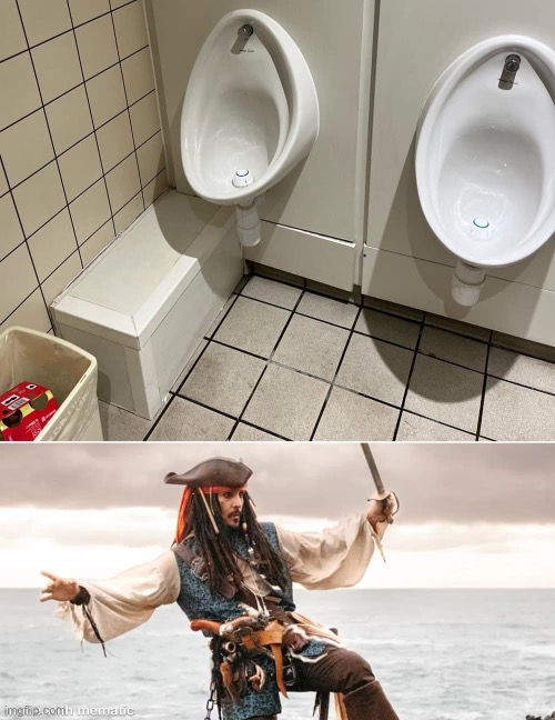 Toilet | image tagged in jack sparrow,confused dafuq jack sparrow what,toilet | made w/ Imgflip meme maker