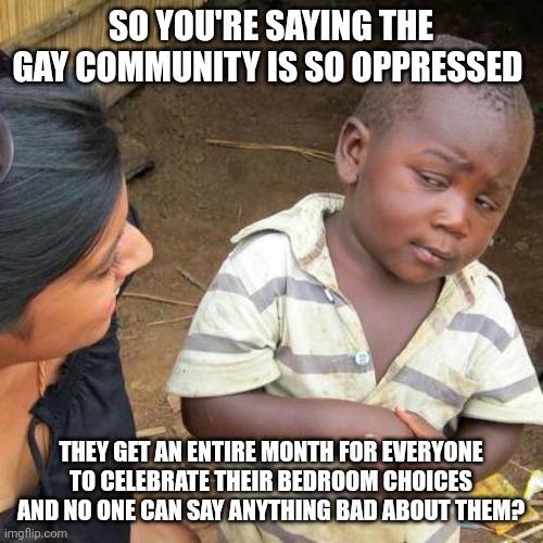 Third World Skeptical Kid Meme | SO YOU'RE SAYING THE GAY COMMUNITY IS SO OPPRESSED; THEY GET AN ENTIRE MONTH FOR EVERYONE TO CELEBRATE THEIR BEDROOM CHOICES AND NO ONE CAN SAY ANYTHING BAD ABOUT THEM? | image tagged in memes,third world skeptical kid | made w/ Imgflip meme maker